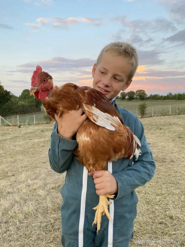 Hugues et son poulet